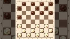 ДЕБЮТ: НОВОЕ НАЧАЛО | ШАШКИ