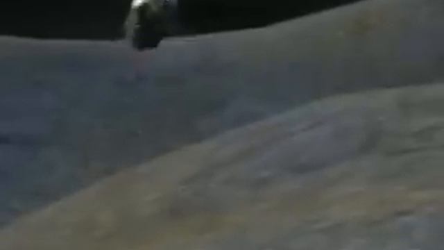 Ragdoll Jackass смотреть онлайн