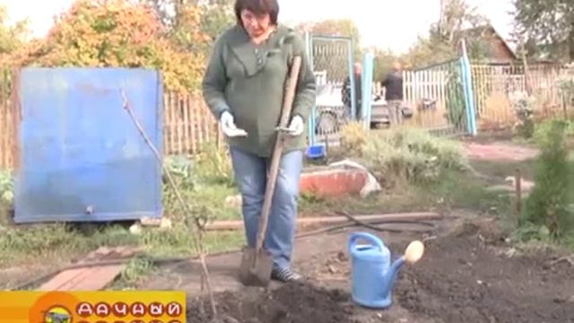 АПИОНы - уникальные «конфеты» для ваших растений (2 часть) от 14.10.15 смотреть онлайн