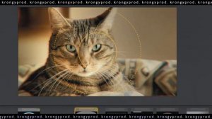 Обработка фото: VHS стиль. Magic Bullet Looks / Adobe Photoshop CS6