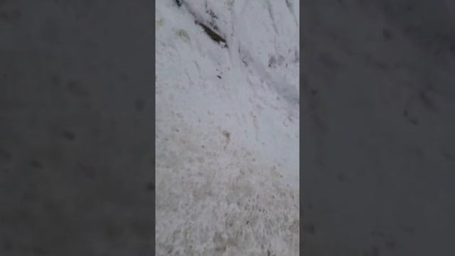 Катание с горки.