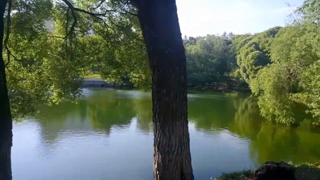 "Луна" Видео Клип сл. и муз. Е. Лобастовой Авторское видео фото Зима Киров 2022