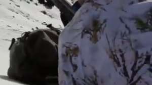 охота на архара с крутейшей оптикой