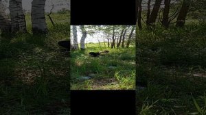 пол это лава