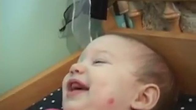 It was not the Dog смотреть онлайн