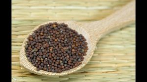 ГОРЧИЦА ЧЕРНАЯ ЛЕЧЕБНЫЕ СВОЙСТВА АЮРВЕДА