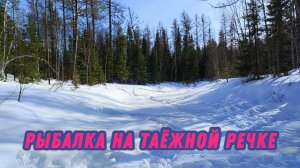 Рыбалка на таёжной речке