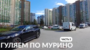 ПРОГУЛКА ПО МУРИНО ДЕВЯТКИНО САНКТ-ПЕТЕРБУРГ часть 3 | ОБЗОР МАГАЗИНА ЛЕНТА | ОБЗОР ПОКУПОК