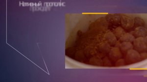 Прополис. производство водного экстракта прополиса