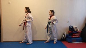 Тхэквондо. Эридан. Тренировка аттестационной программы на желто/зеленый пояс в клубе Эридан