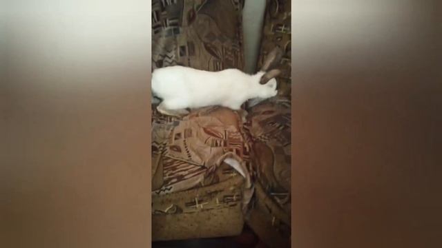 Любимая жена подарила мне подарок на день рождения смотреть онлайн