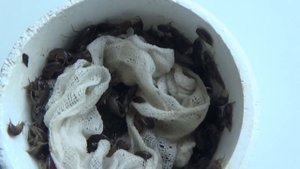 Ловишь на мормыша? Смотри как добывать и хранить.