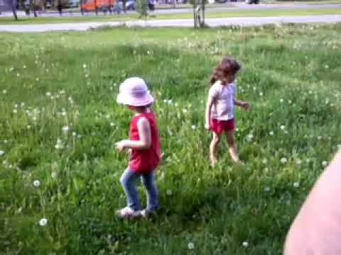 video-2013-05-19-16-57-18 смотреть онлайн