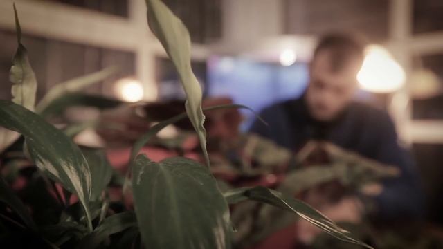 БИОХАКИНГ - здоровье и долголетие. Система продления жизни. Интересные факты,как укрепить иммунитет