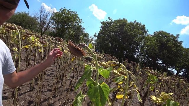 Дикарем в Крыму #1 "Симферополь - Стерегущее - Бакальская коса"