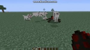 Как сделать собаку в Майнкрафт/Dog in Minecraft