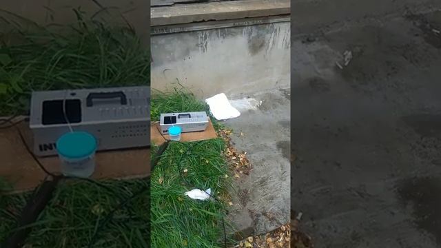 Как прочистить дым машину. Прочистка испарителя, ремонт дым машины смотреть онлайн