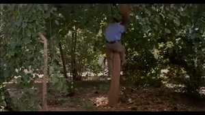 Ирина Богушевская   У нас в раю