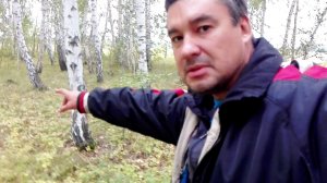 Встретил непонятное существо, в лесу ...