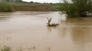 Сергиевское ставропольский край река Калаус