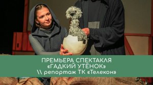 Премьера спектакля «Гадкий утёнок»