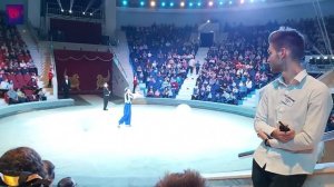 Смешные клоуны  Цирк.