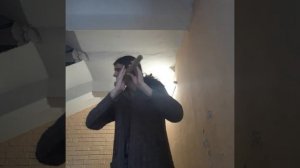 Дзэн - Флейта "Только звук". D#