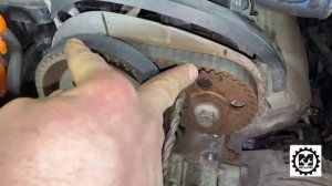 Замена ремня ГРМ Фольксваген Поло 1.4 / Замена помпы на Volkswagen Polo 4