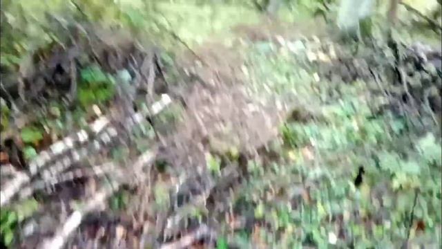 Волокуша, сбор валежника. смотреть онлайн