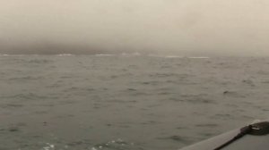 Zodiac Boat Ride. Океан, надувная лодка "Зодиак" (2341sp)