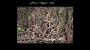 Маскировка