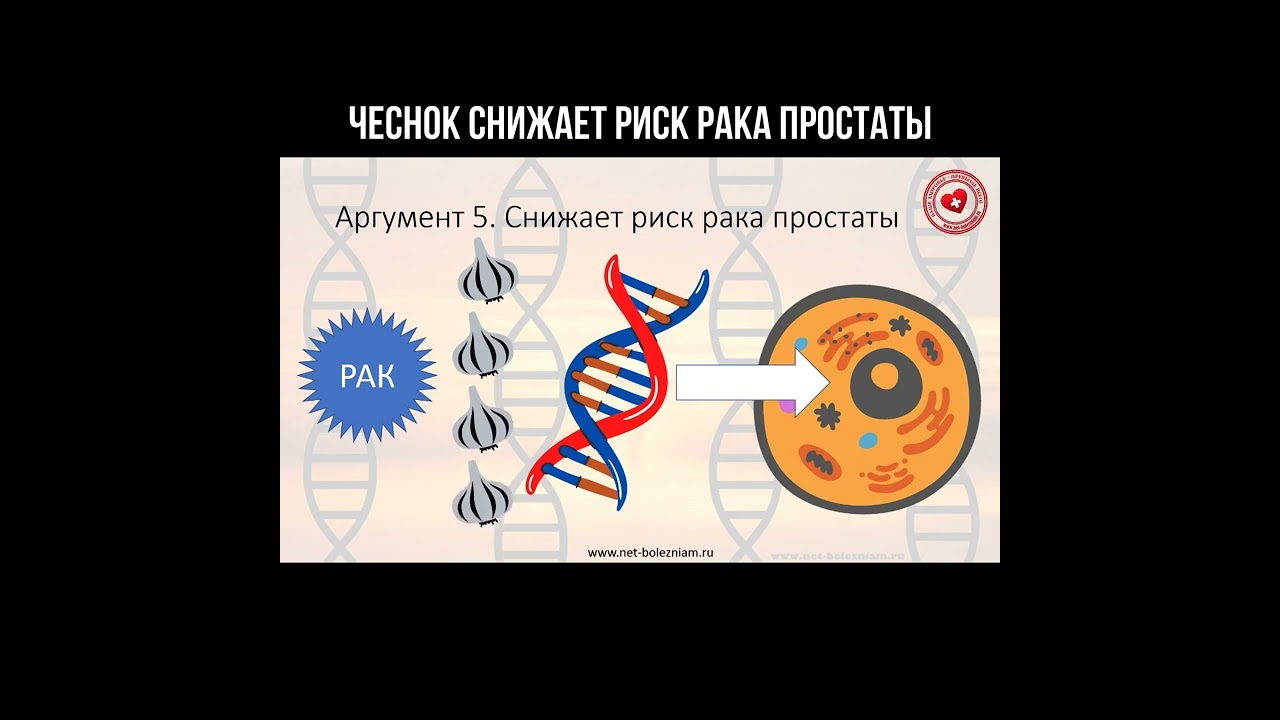Чеснок снижает риск рака простаты смотреть онлайн