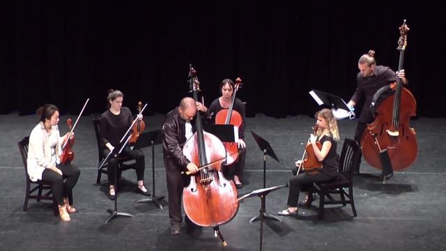 Concerto for Bass by Donovan Stokes смотреть онлайн