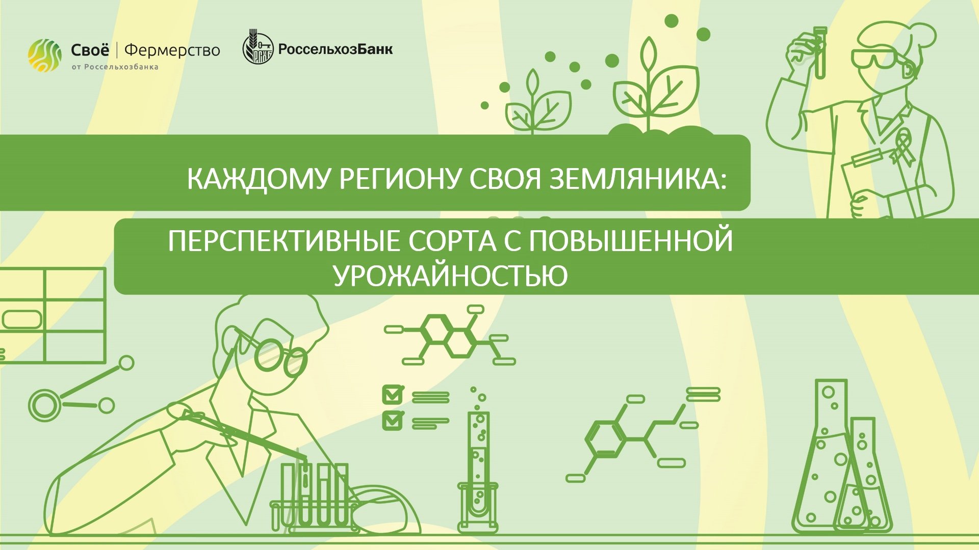 Каждому региону своя земляника: перспективные сорта с повышенной урожайностью
