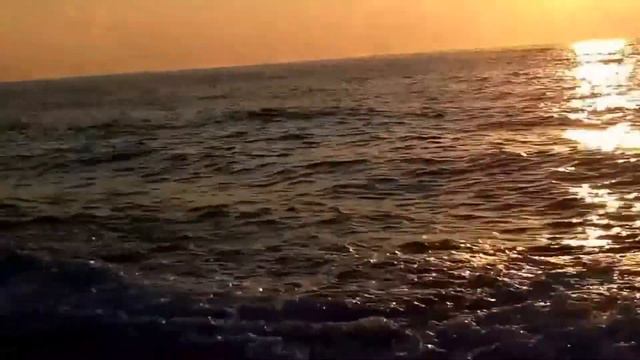 Comprehending the true reality. смотреть онлайн