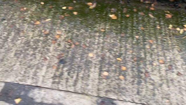 Разборка Opel - Astra G 1998-2005, 1.6 (VIN: W0L0TGF48Y8143910) W736UMJ смотреть онлайн