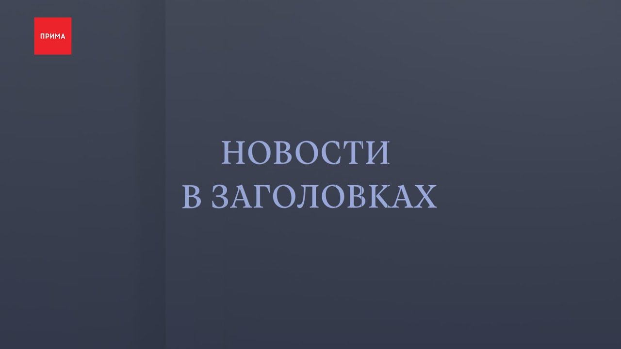 Флорариум снова зацвёл на площади Мира