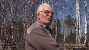 Картофель - видоизмененный стебель, надземный орган. Замяткин И.П.