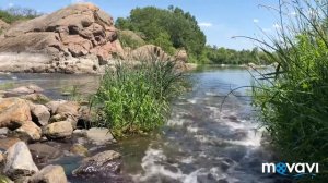 Украина, Николаевская обл., Первомайск, Июнь 2018