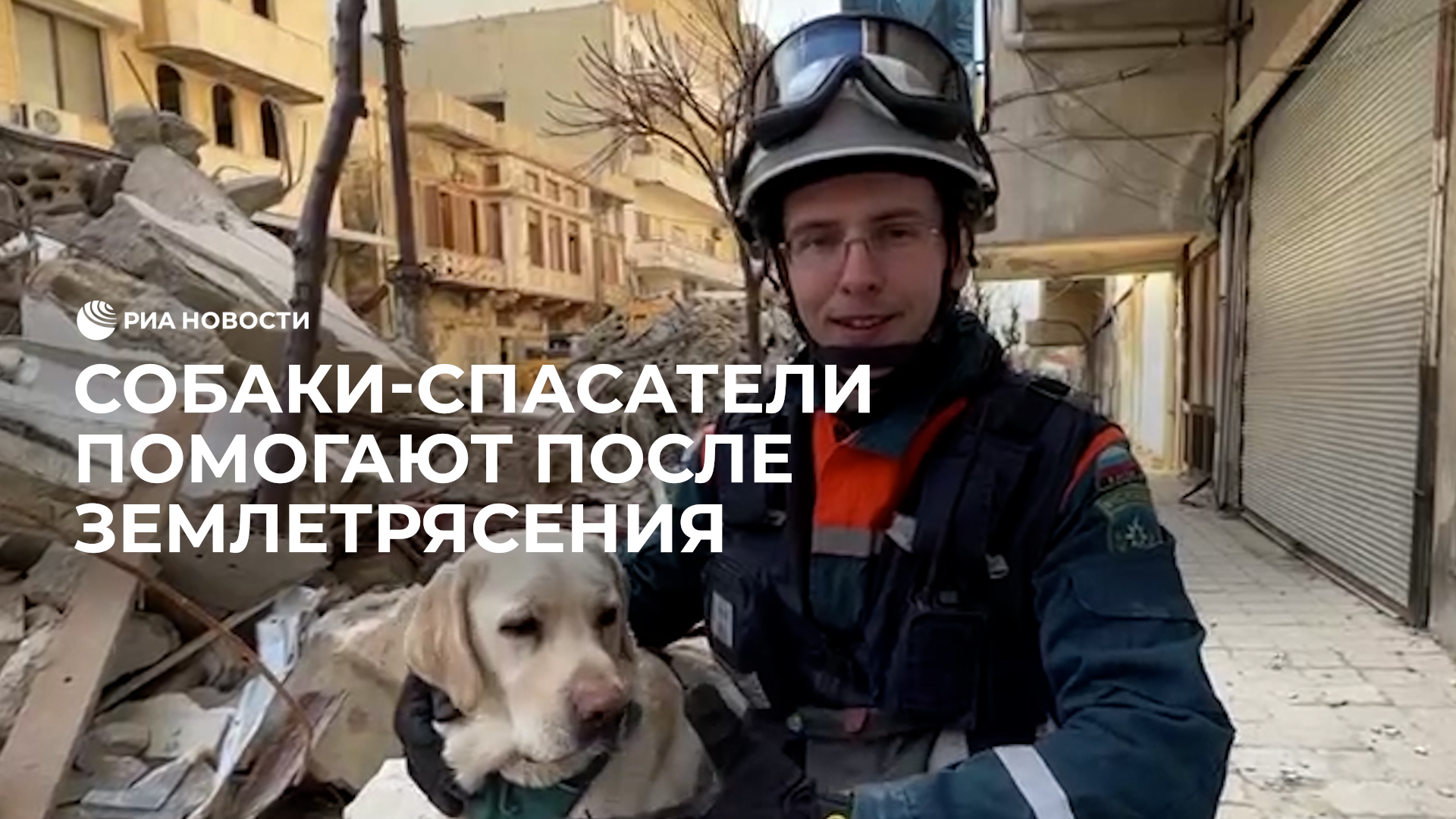 В Сирии собаки помогают спасателям искать людей после землетрясения