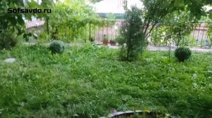 Dam Olish uchun eng arzon dacha