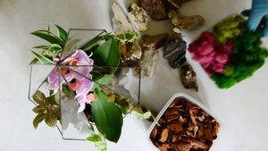 ? МАСТЕР - КЛАСС ?  | Флорариум с орхидеей