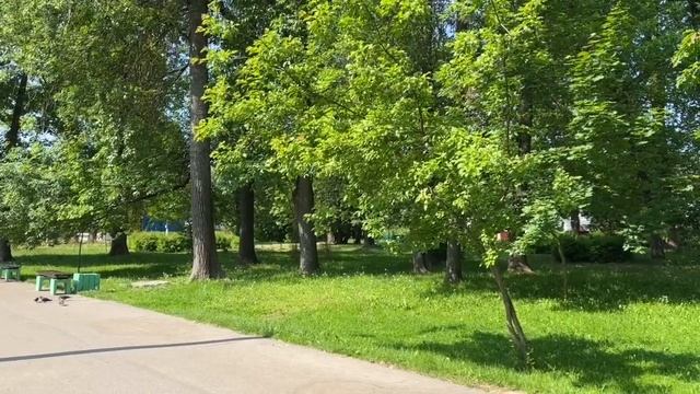 Урок рисования на улице. Рисуем дерево с натуры смотреть онлайн