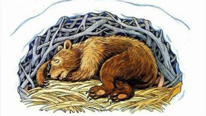 Спит медведь (муз. - А. Комаров, вокал - Ю. Бондарь, текст - В. Банифатов)