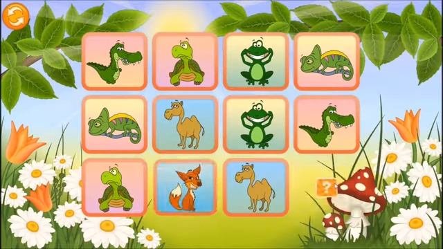 Игры найти пару животных. Игры найти пару животных