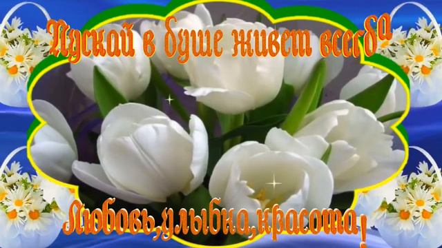 Красивое пожелание с Добрым утром  хорошего настроения смотреть онлайн