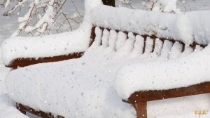 ПАДАЕТ СНЕГ ТЕРЕЗА ТЕНГ