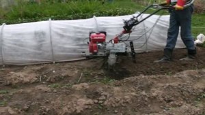 Мотоблок Угра в работе