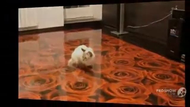 Наливное_покрытие_пола. Состав_наливного_пола
