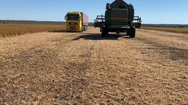 Соя 2020. Итоги.. Стоит ли сеять при такой урожайности??!!